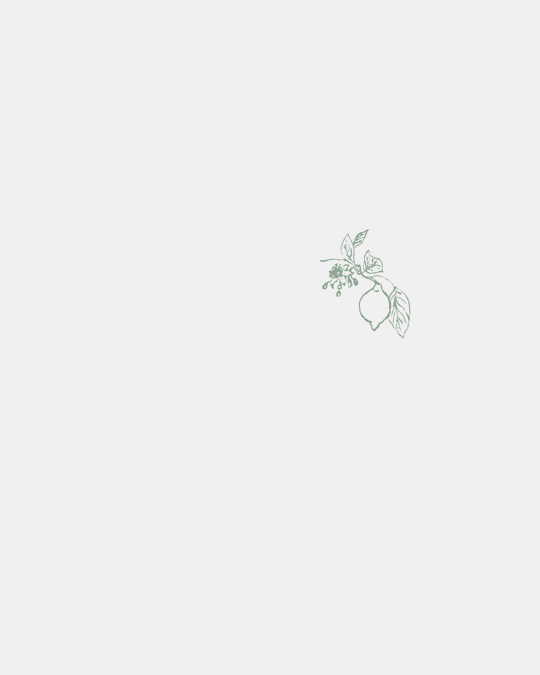 TEST (DTF Transfers By Size) TEST