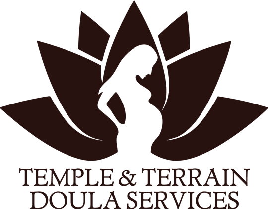 DTF Transfers By Size 2