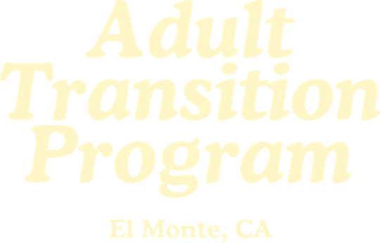 DTF Transfers By Size 5