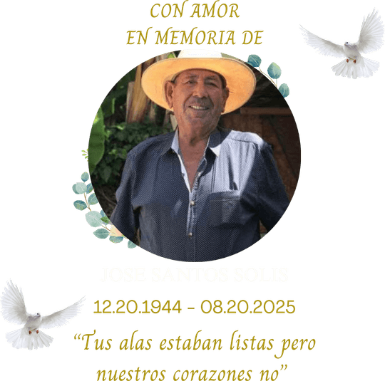 DTF Transfers By Size