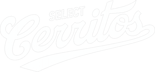 DTF Transfers By Size 1
