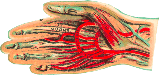 DTF Transfers By Size 11