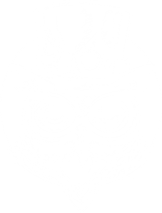 DTF Transfers By Size 5